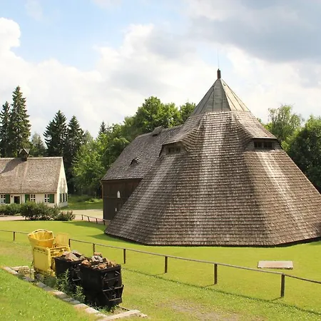 Sonnentau Johanngeorgenstadt