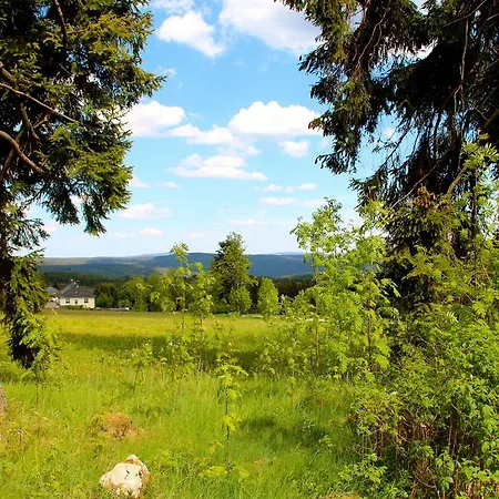 Sonnentau Johanngeorgenstadt