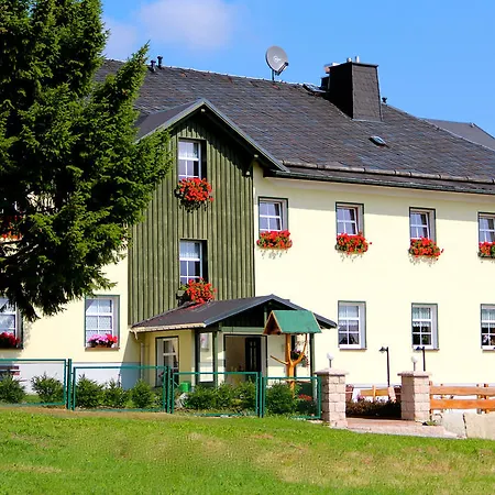 Sonnentau