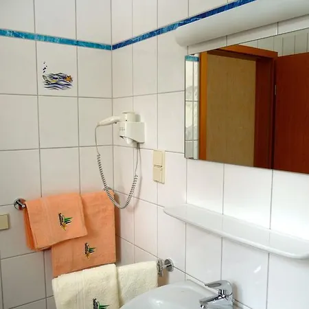 Sonnentau Johanngeorgenstadt