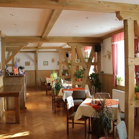 Sonnentau Johanngeorgenstadt