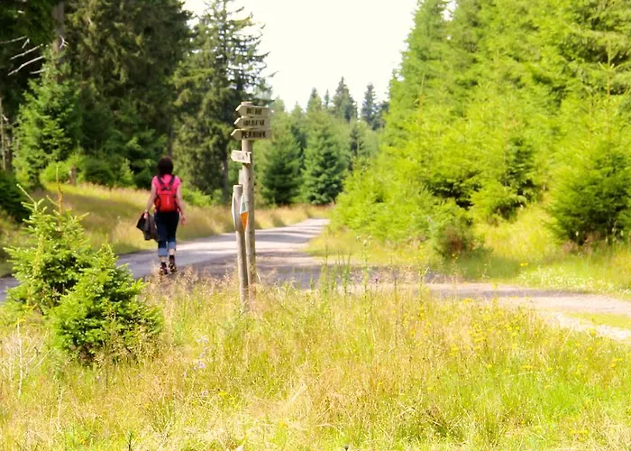 Sonnentau Гостевой дом Йохангеоргенштадт