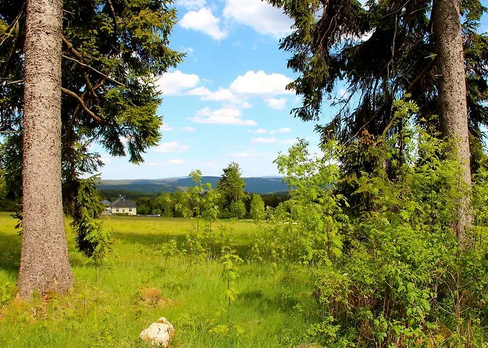 Sonnentau Йохангеоргенштадт