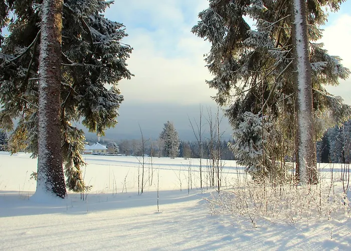 Sonnentau Гостевой дом Йохангеоргенштадт