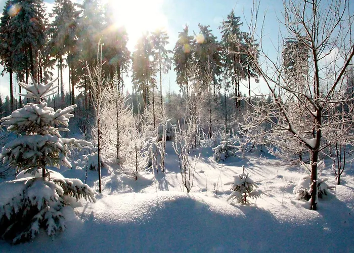 Гостевой дом Sonnentau