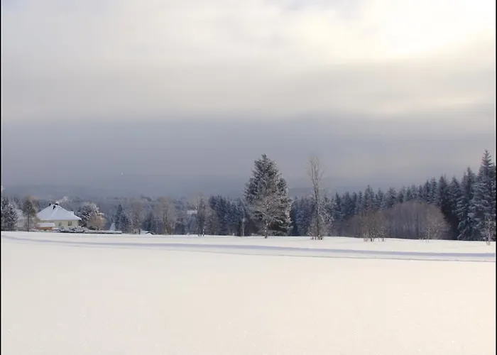 Sonnentau Йохангеоргенштадт